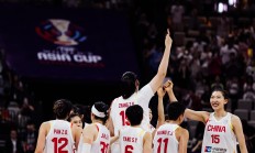 开云APP-湖南男篮险胜上海队，取得胜利的简单介绍