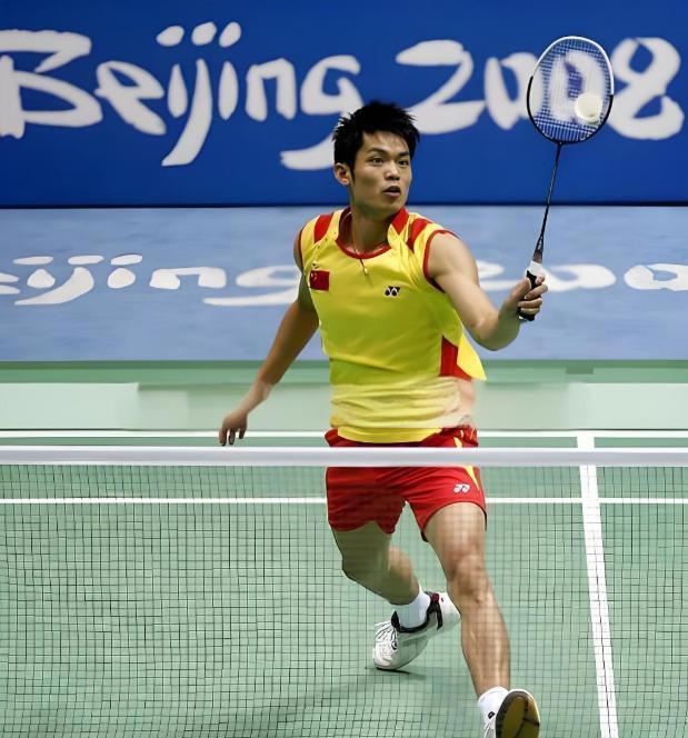 法国羽毛球队血洗丹麦羽毛球队，林丹高光表现的简单介绍