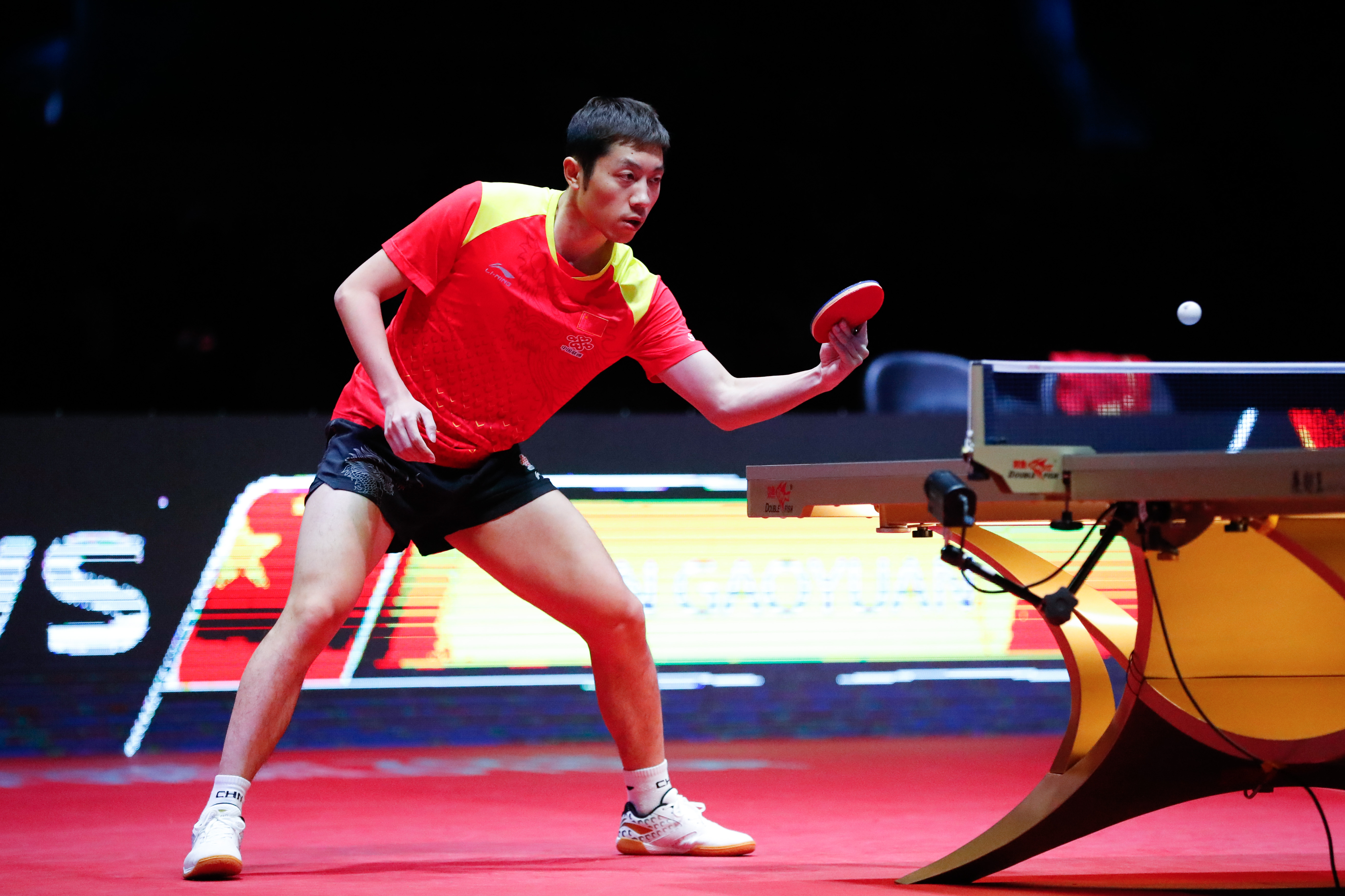 德国乒乓球队完胜波兰乒乓球队，许昕高光表现的简单介绍