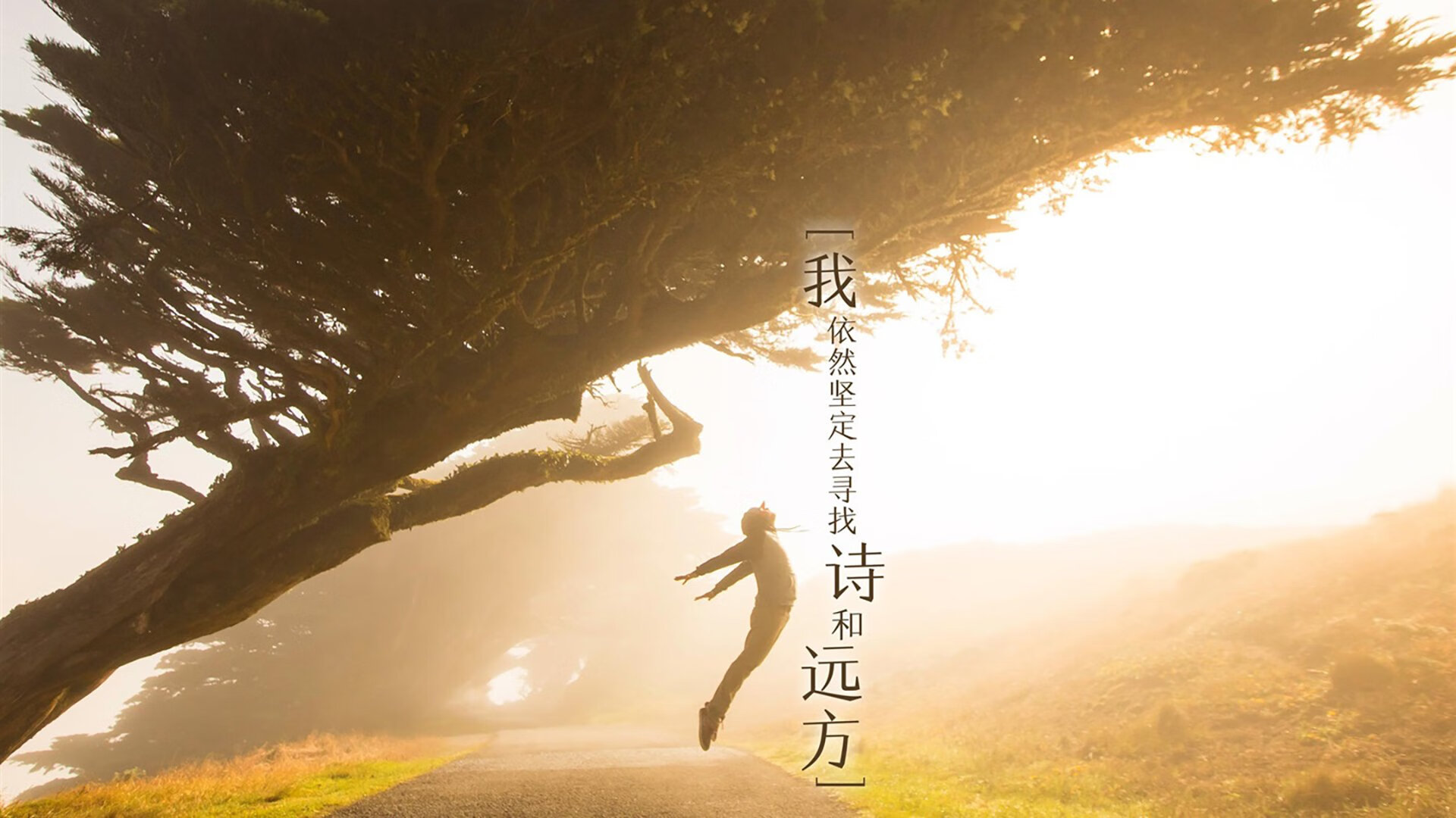 帕尔默闪耀新星光芒,洪都拉斯对阵韩国见证未来巨星价值