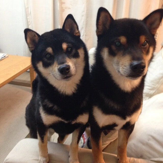 密尔沃基的魔法时刻，字母哥无人可挡的终场审判